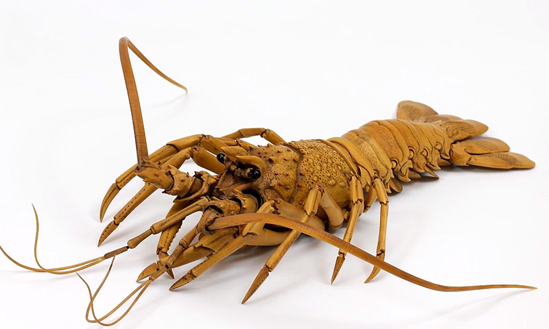 Artista japonês esculpe lagosta de aparência realista com buxinho 01