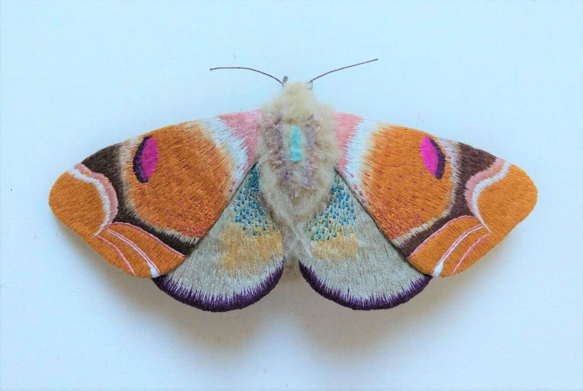 Tons vvidos e bordados intrincados do vida s mariposas notavelmente coloridas 09