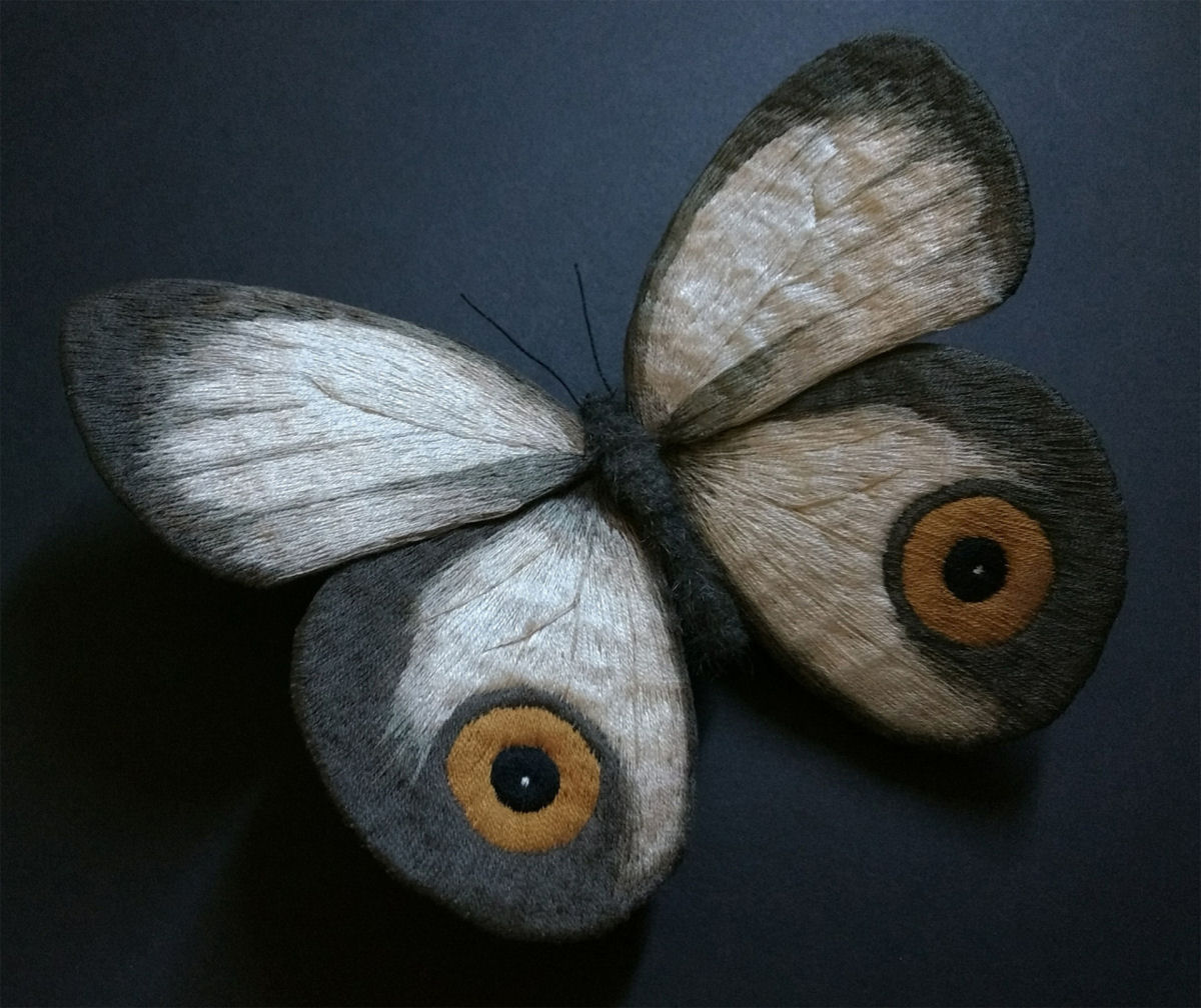 Tons vvidos e bordados intrincados do vida s mariposas notavelmente coloridas 14