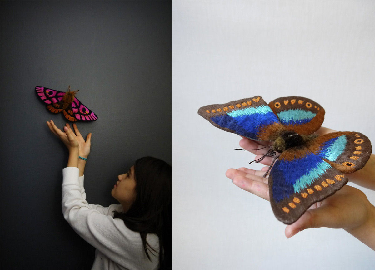Tons vvidos e bordados intrincados do vida s mariposas notavelmente coloridas 16