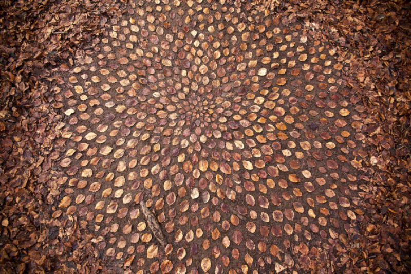 Artista britnico organiza folhas e pedras em elaboradas pilhas e mandalas 12