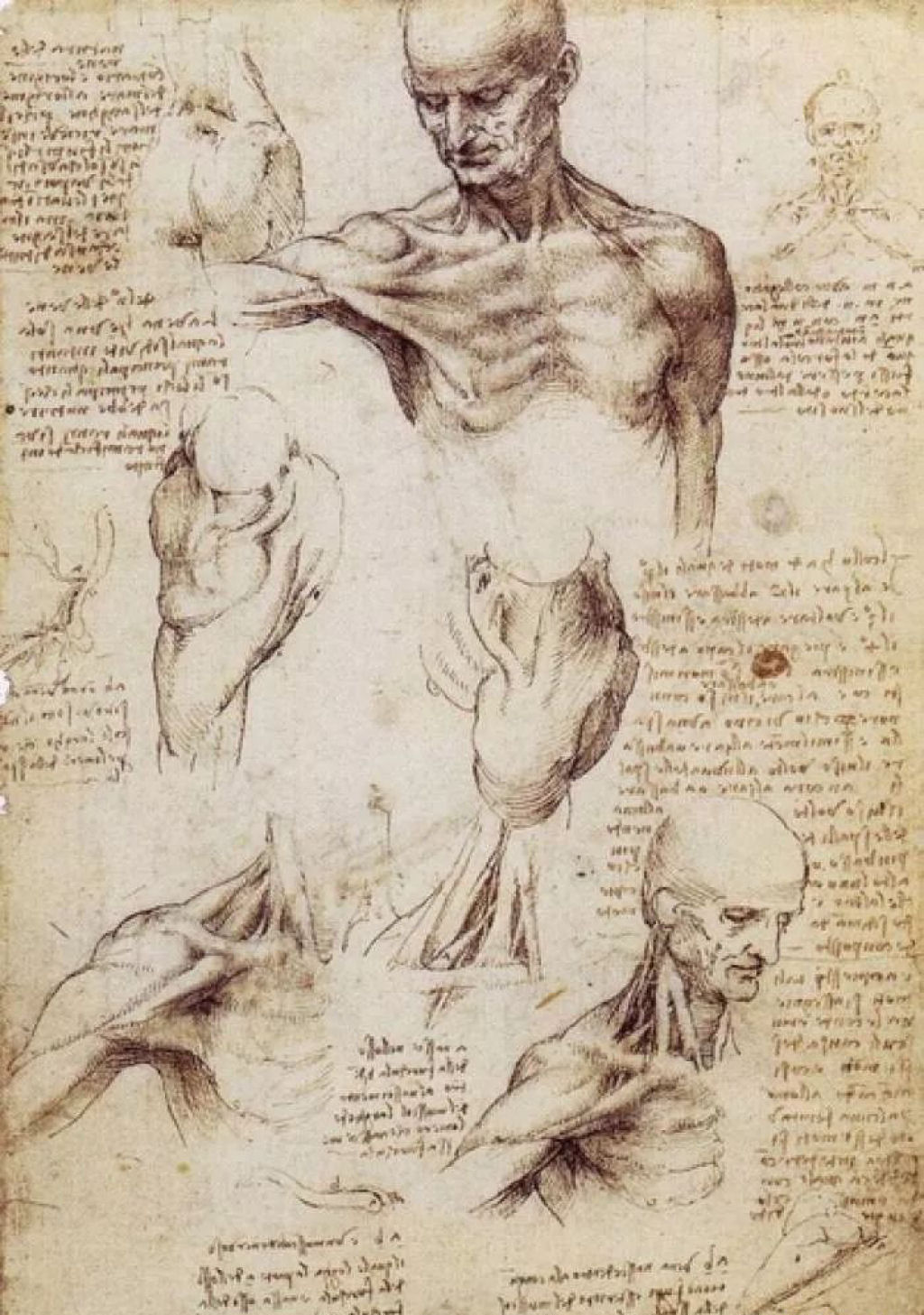 Como Leonardo da Vinci fez seus desenhos magníficos usando apenas um estilete, caneta de pena e giz