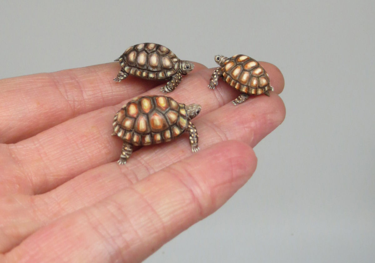Estas delicadas mini esculturas de animais são biologicamente precisas 06