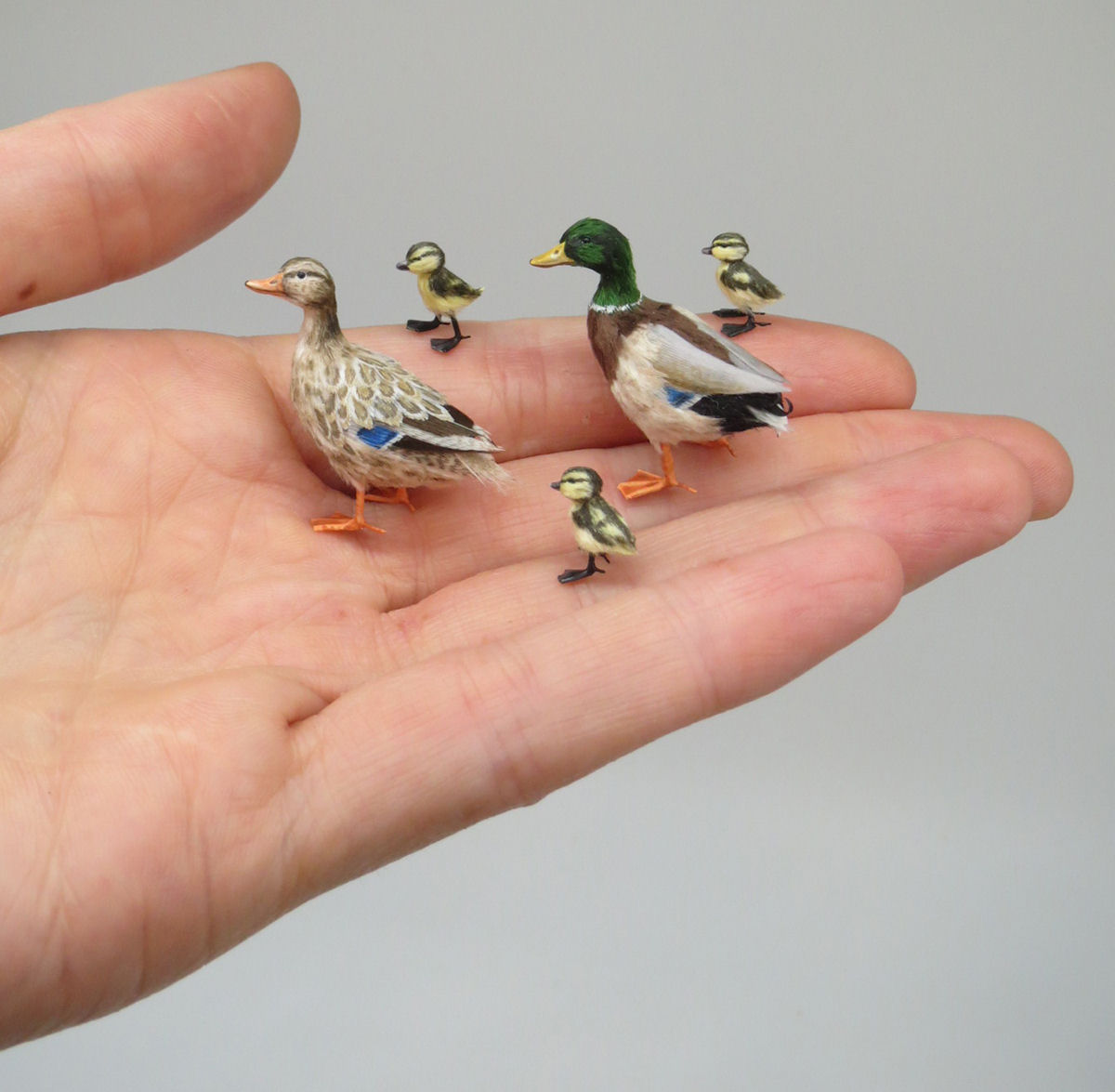 Estas delicadas mini esculturas de animais são biologicamente precisas 12