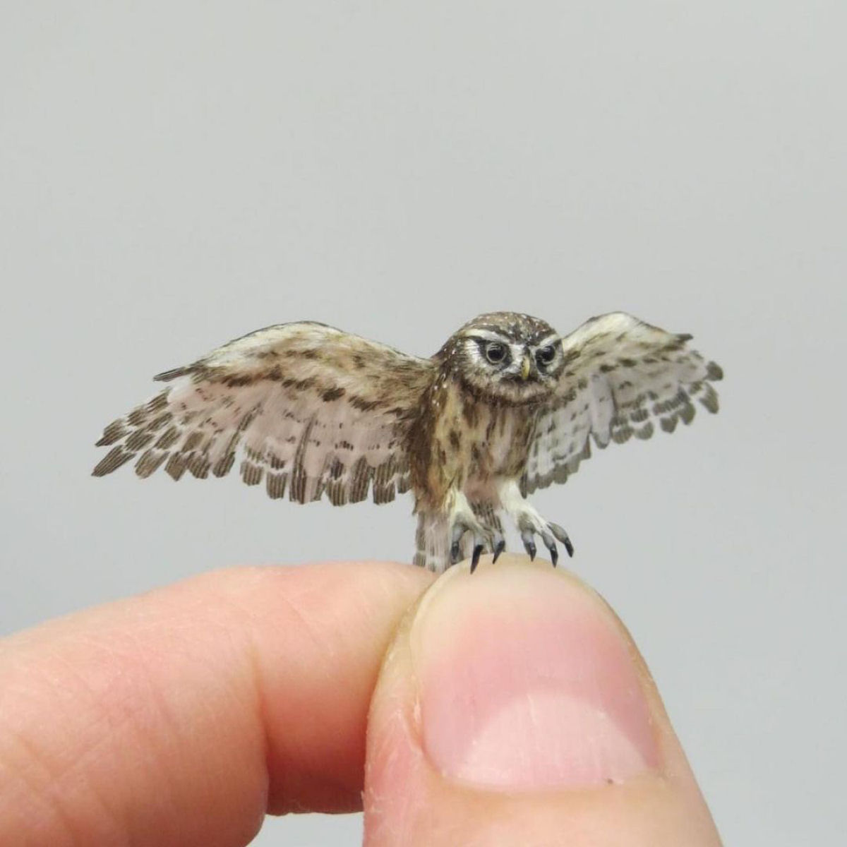 Estas delicadas mini esculturas de animais são biologicamente precisas 16