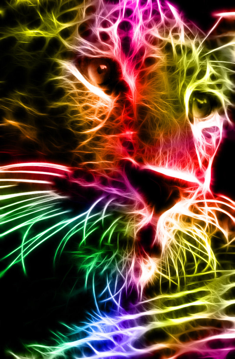 Espetaculares retratos de animais com uma exploso eletrizante de cores 06