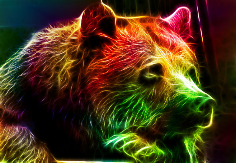 Espetaculares retratos de animais com uma exploso eletrizante de cores 10