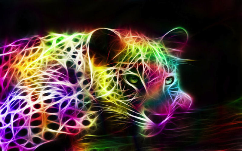 Espetaculares retratos de animais com uma exploso eletrizante de cores 13