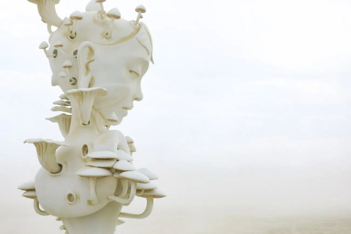 Arte surreal de artista sul-africano chega ao Burning Man