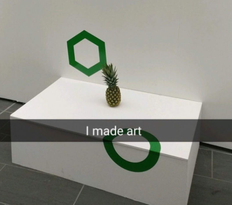 Deixam um abacaxi no meio de uma exposio e as pessoas confundiram com arte