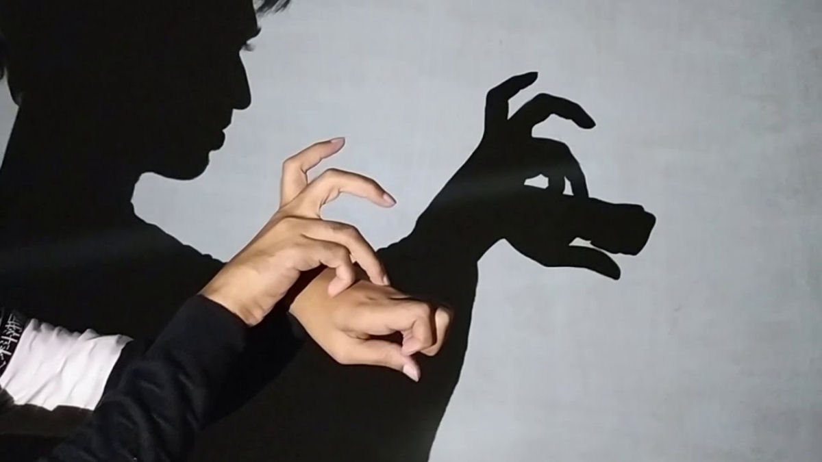 Sombras chinesas: adivinhe os animais de fantoche de sombras com a mão