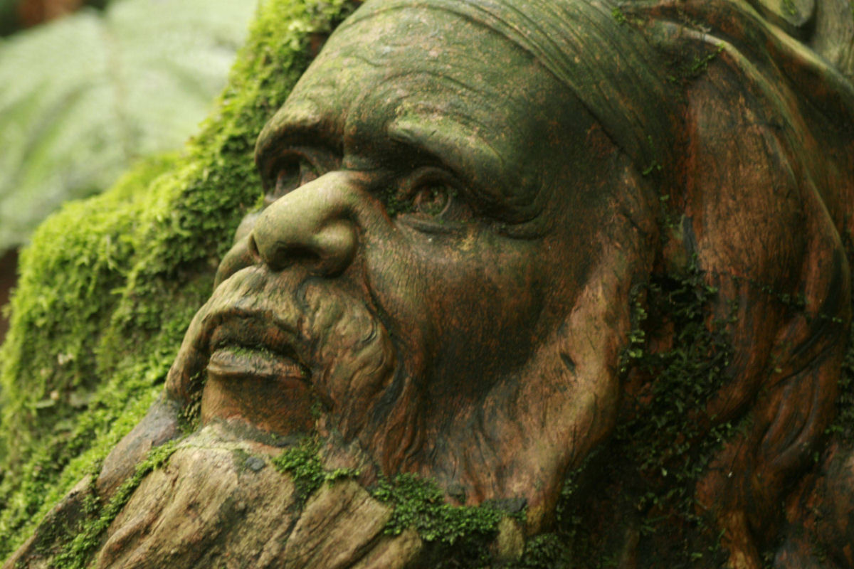 As belas esculturas de aborígenes míticos que guardam uma floresta tropical australiana 02
