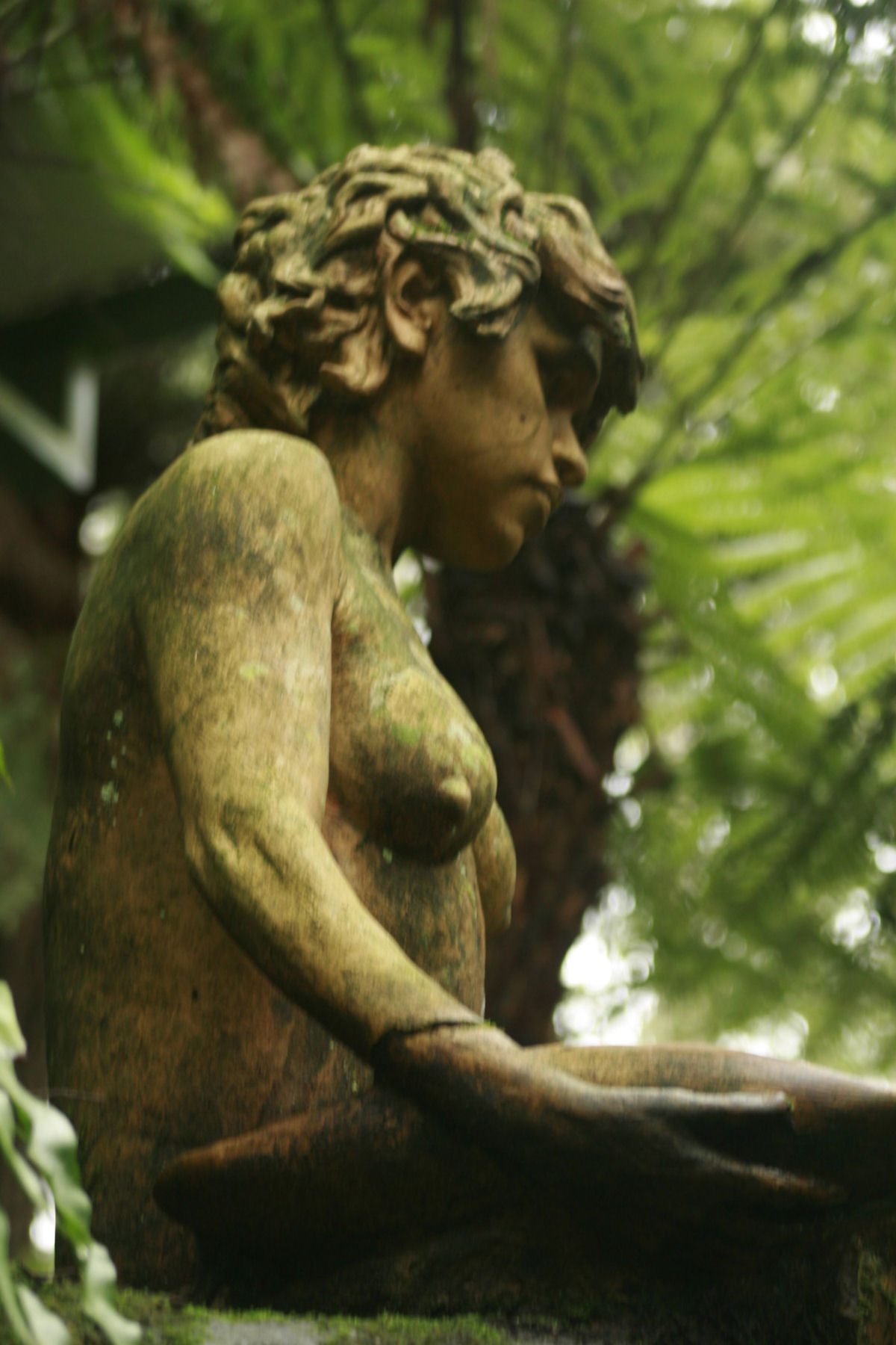 As belas esculturas de aborígenes míticos que guardam uma floresta tropical australiana 05