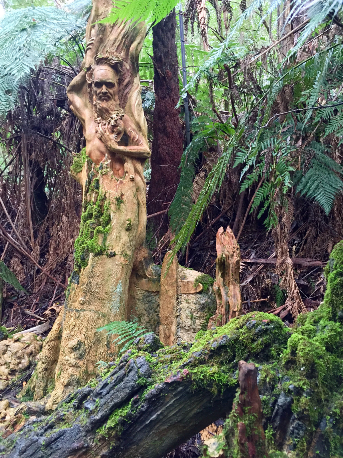 As belas esculturas de aborgenes mticos que guardam uma floresta tropical australiana 10