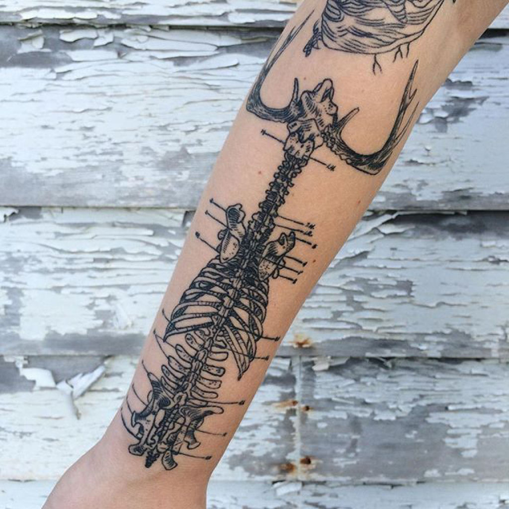Tatuagens inspiradas na natureza combinam gravuras de estilo vintage de fauna e flora 18