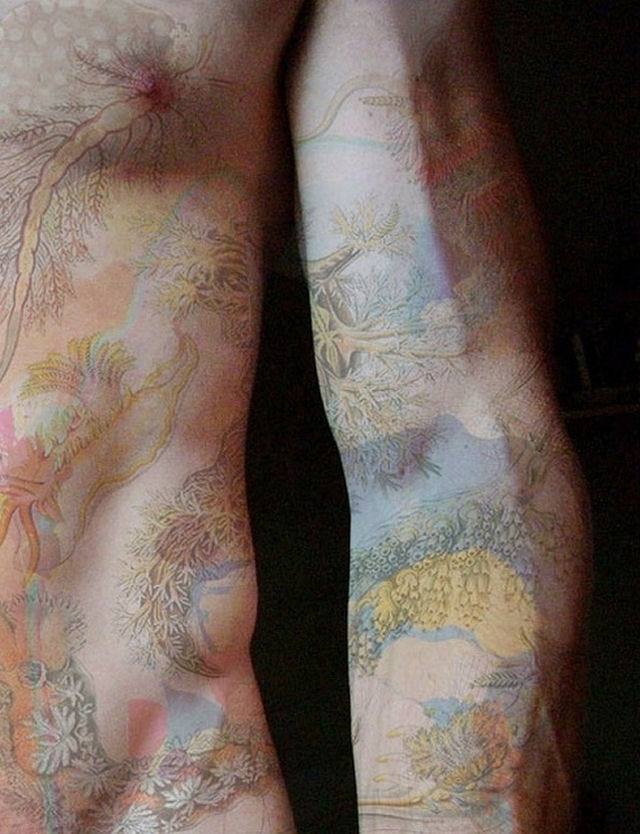 50 tatuagens muito bacanas inspiradas na natureza 13