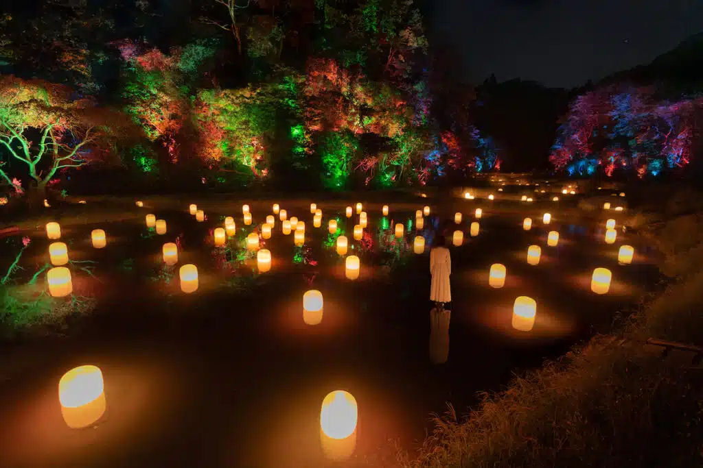 Florestas e terraos de arroz japoneses so transformados em paisagens mgicas e multicoloridas 01