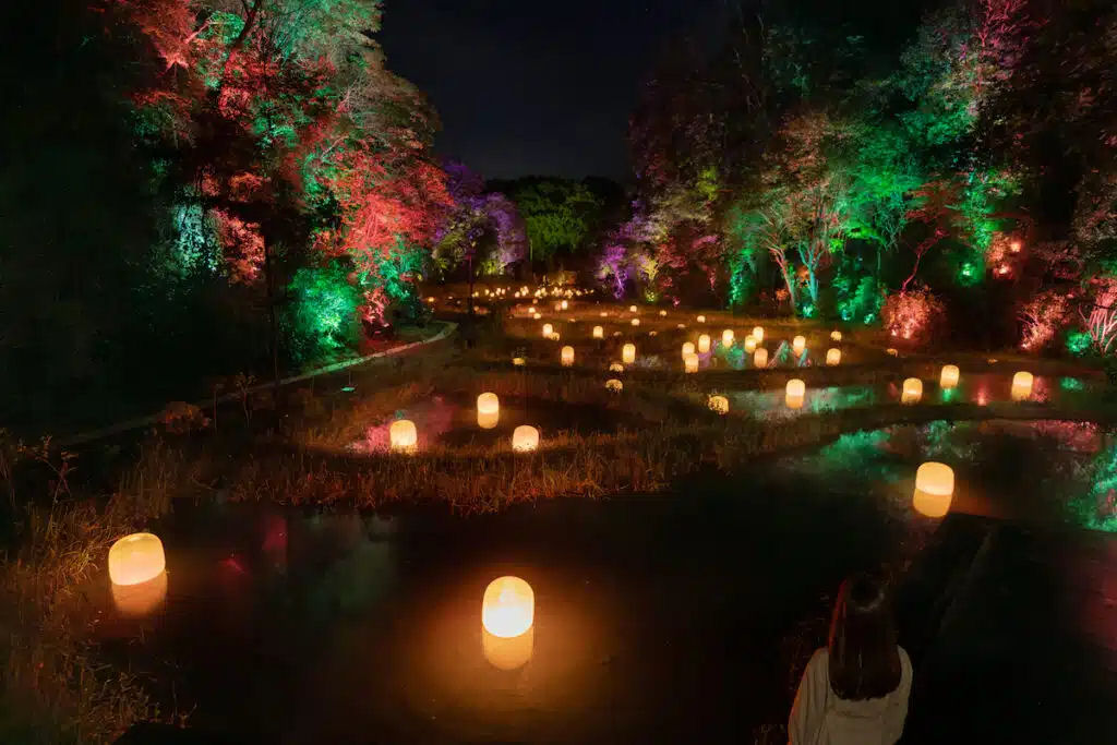 Florestas e terraos de arroz japoneses so transformados em paisagens mgicas e multicoloridas 02