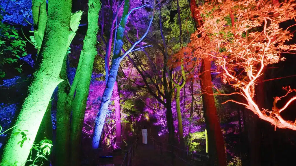 Florestas e terraos de arroz japoneses so transformados em paisagens mgicas e multicoloridas 07