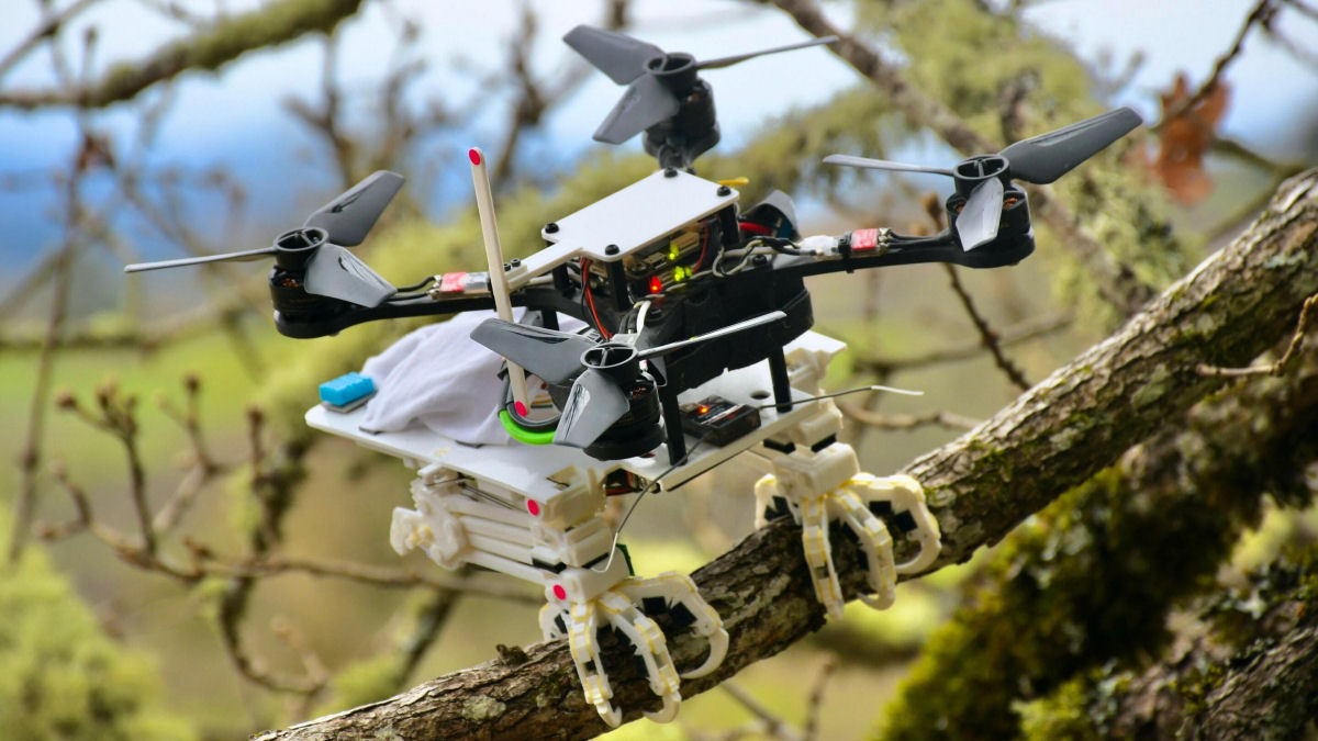 Pesquisadores criam um drone com garras que pode se agrarrar aos ramos das árvores