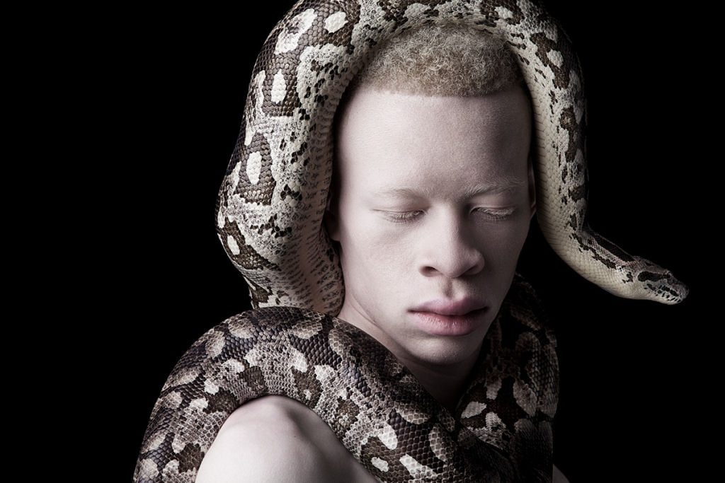 Fotgrafo desafia padres da beleza com modelos albinos 10
