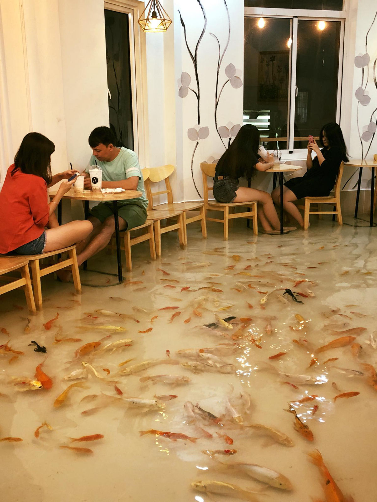 Por favor, no pise nos peixes!: um caf temtico com peixes no Vietn