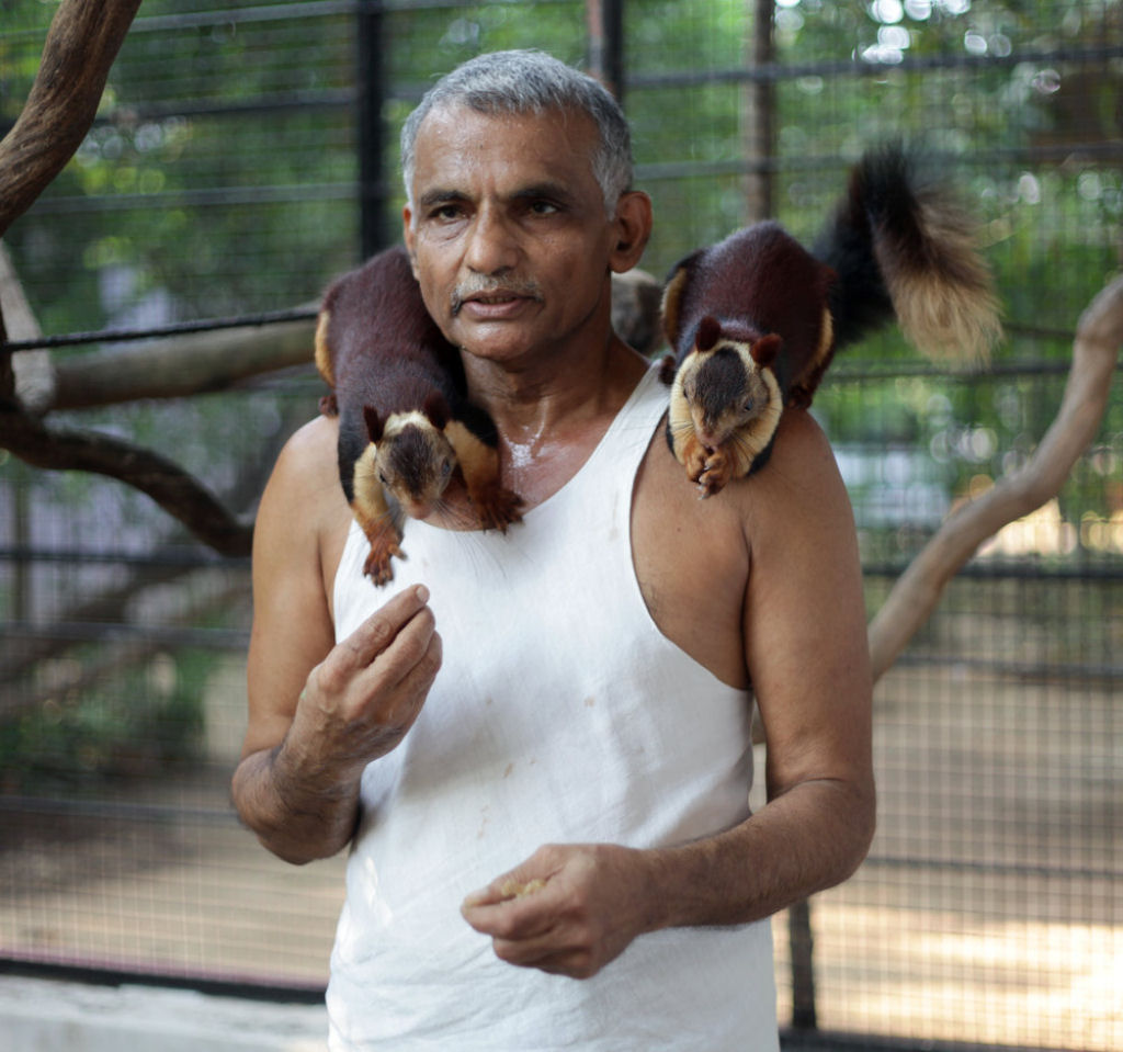 Famlia indiana salva centenas de animais selvagens rfos, transformando sua casa em um santurio 01