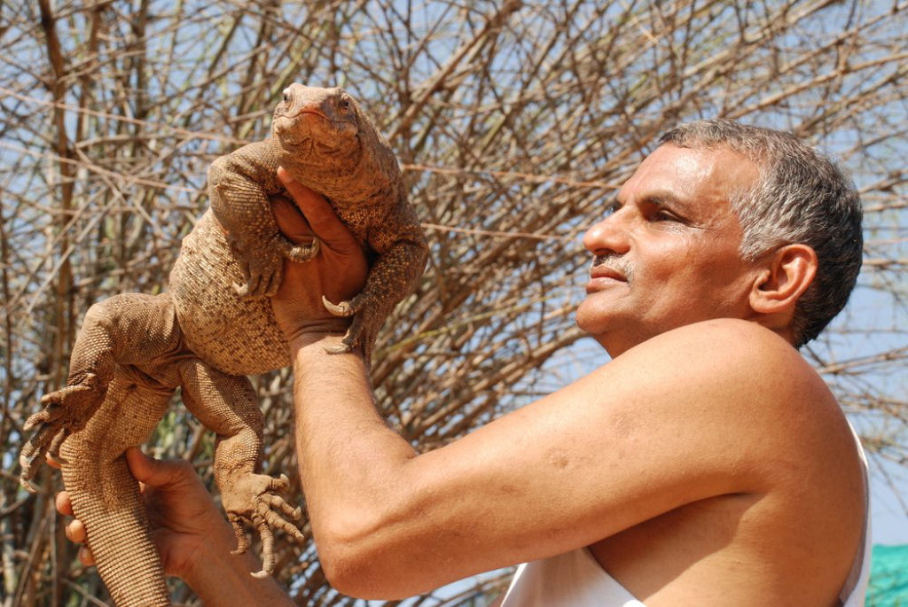 Famlia indiana salva centenas de animais selvagens rfos, transformando sua casa em um santurio 17