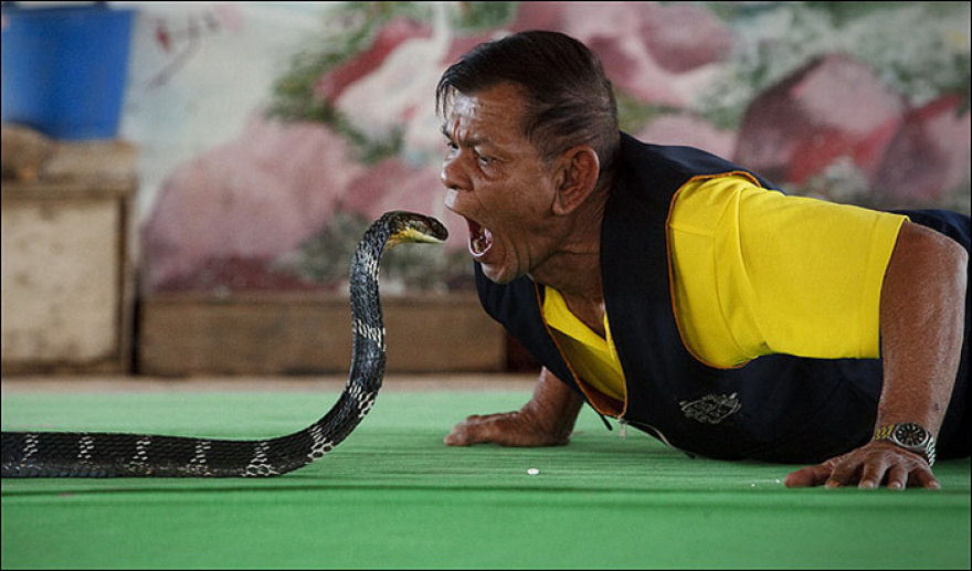 Vila das Cobras na Tailândia, onde homens e cobras vivas em harmonia 06