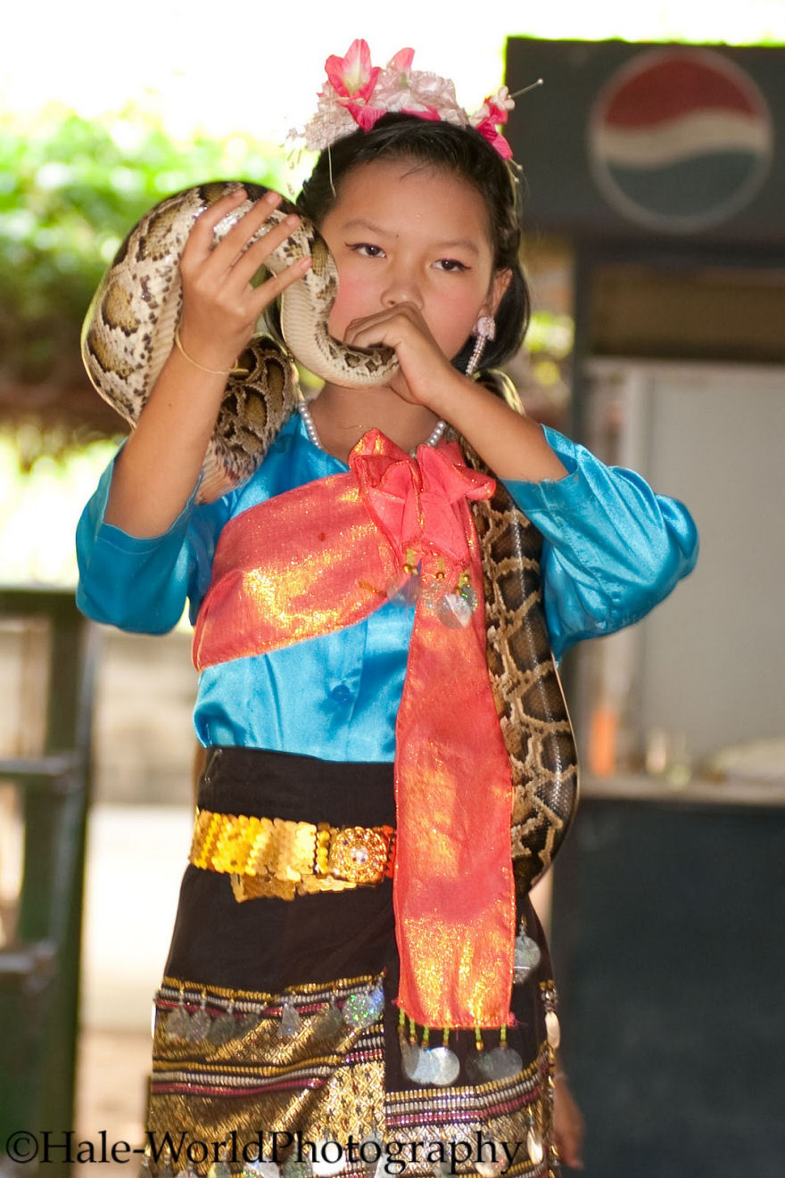 Vila das Cobras na Tailândia, onde homens e cobras vivas em harmonia 09