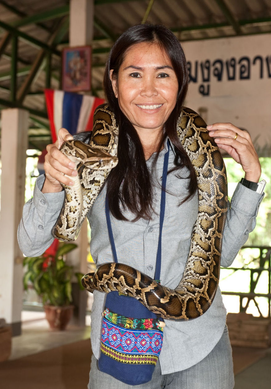 Vila das Cobras na Tailândia, onde homens e cobras vivas em harmonia 12