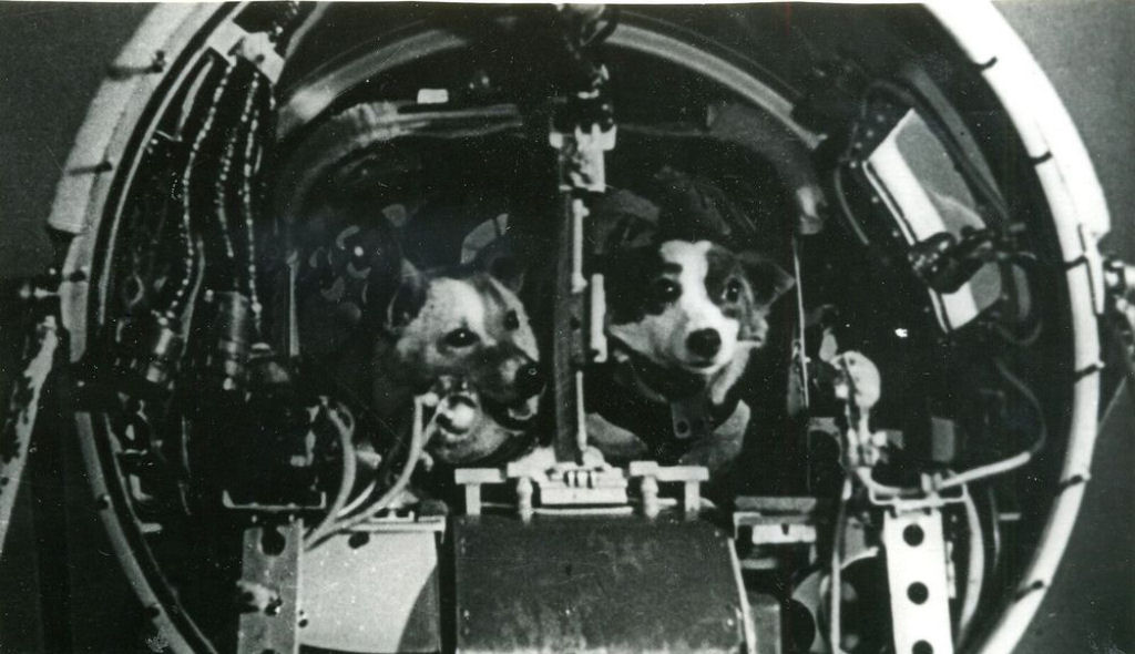 Belka e Strelka, as primeiras cosmonautas a voltar vivas à Terra