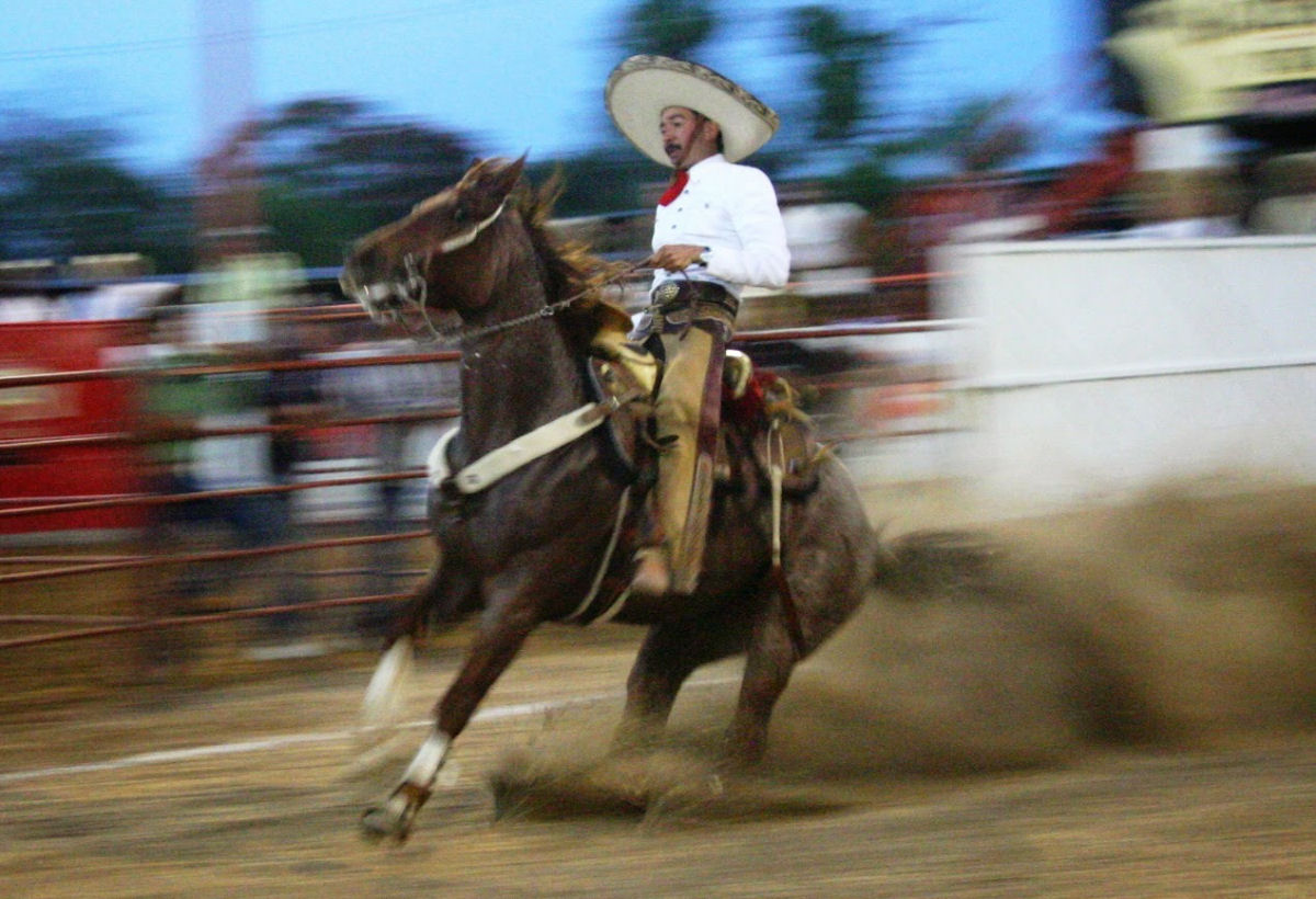 Parada deslizante de cavalo em rodeio mexicano  a coisa mais louca que voc vai ver hoje