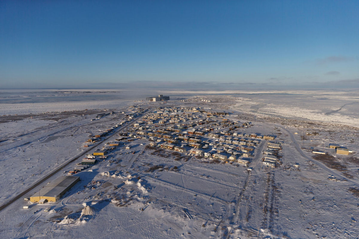 Churchill, a capital do urso-polar no Canad