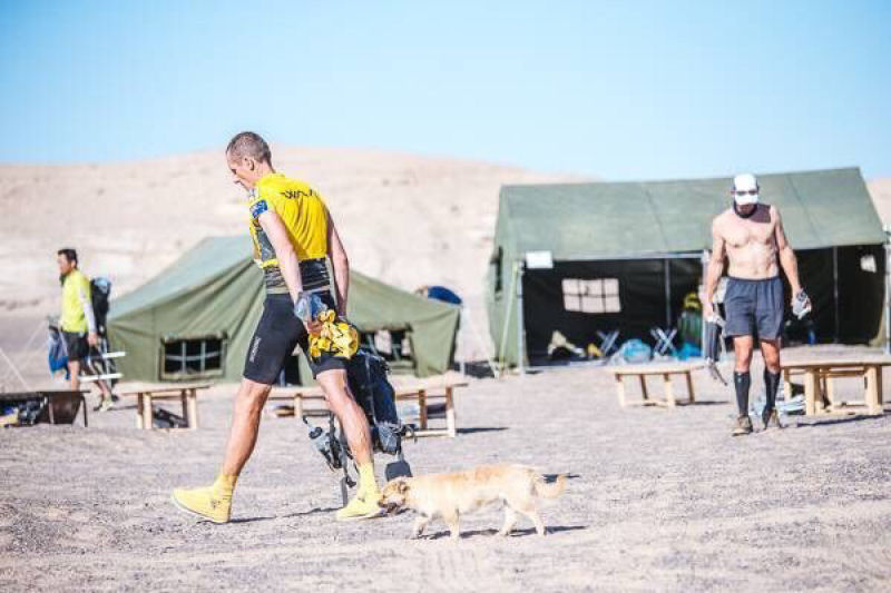 Corredor de ultramaratona adota cadela que correu com ele pelo deserto de Gobi