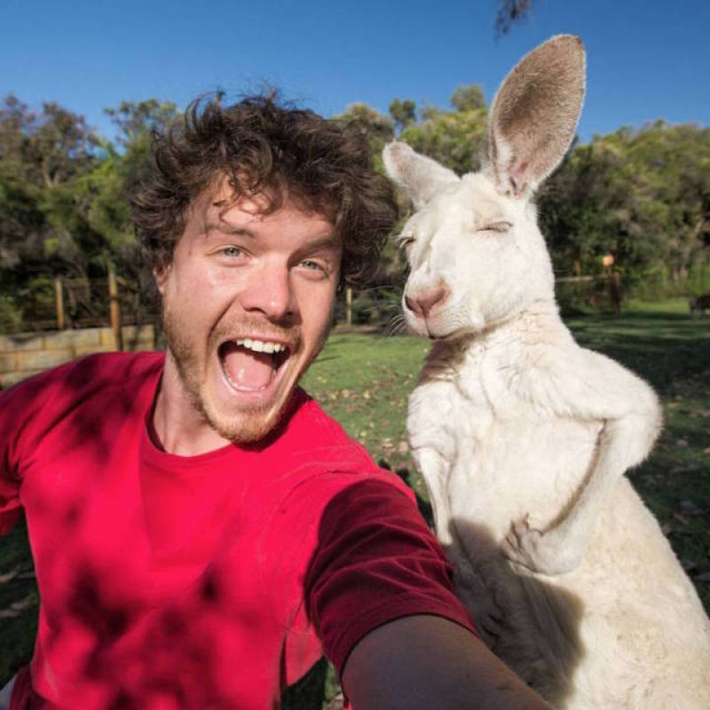 Dr. Dolittle da vida real explica como tirar selfies com todos os tipos de animais selvagens 03
