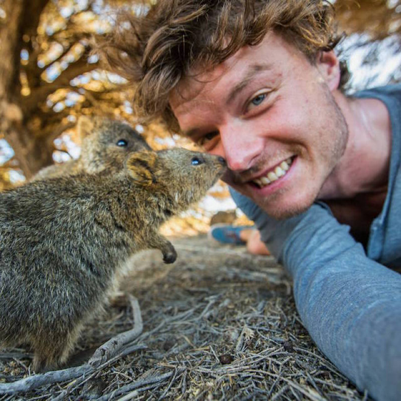Dr. Dolittle da vida real explica como tirar selfies com todos os tipos de animais selvagens 04