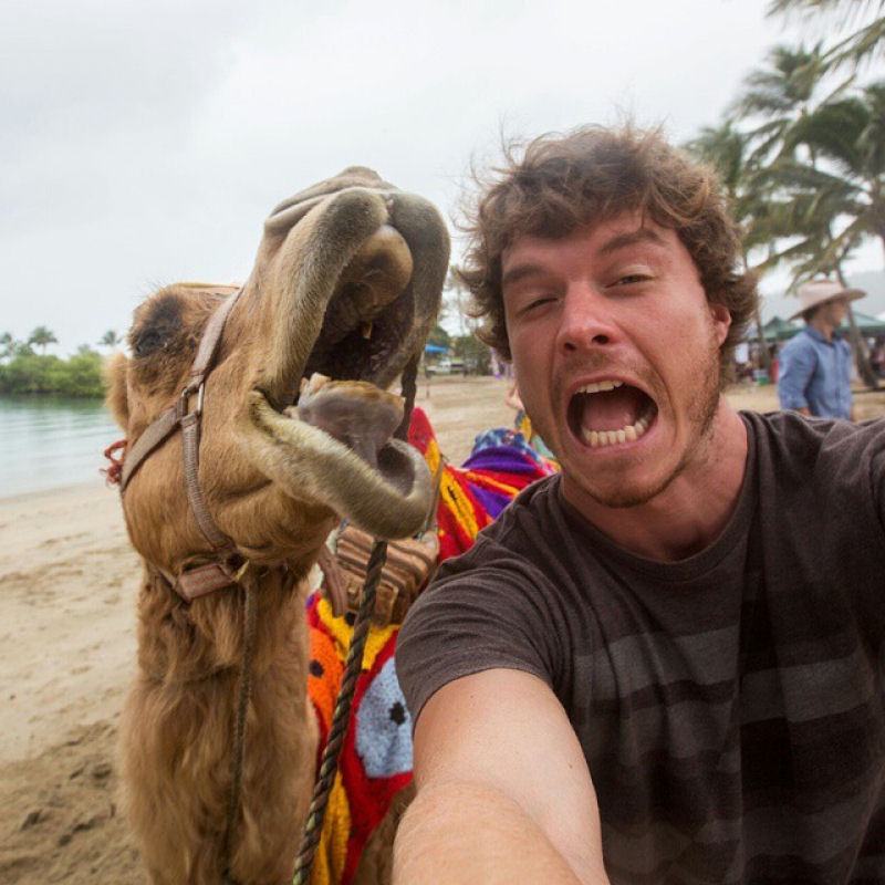 Dr. Dolittle da vida real explica como tirar selfies com todos os tipos de animais selvagens 12