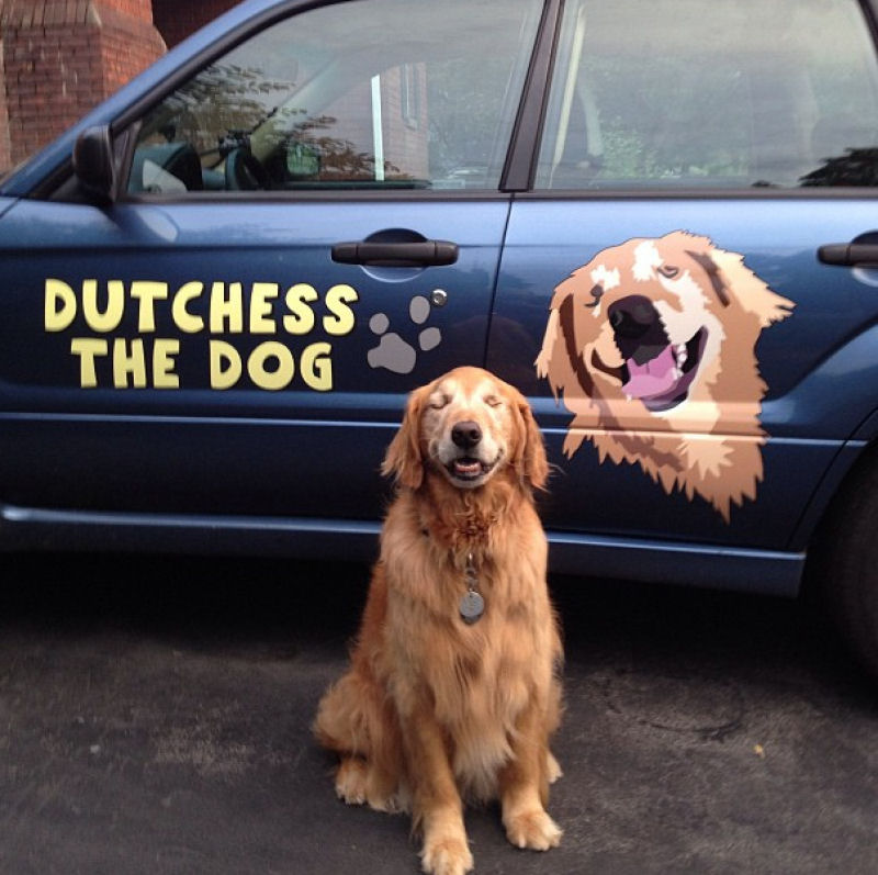 Conheça Dutchess, uma adorável cadela cega que ajuda na terapia de autistas 19