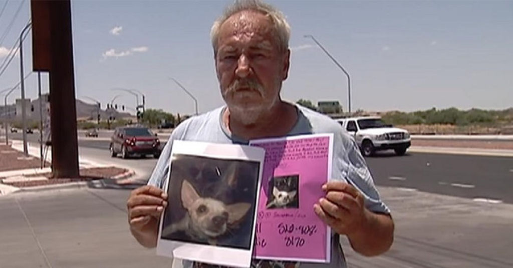 Americano desesperado oferece sua casa a quem quer que encontre sua cadelinha perdida