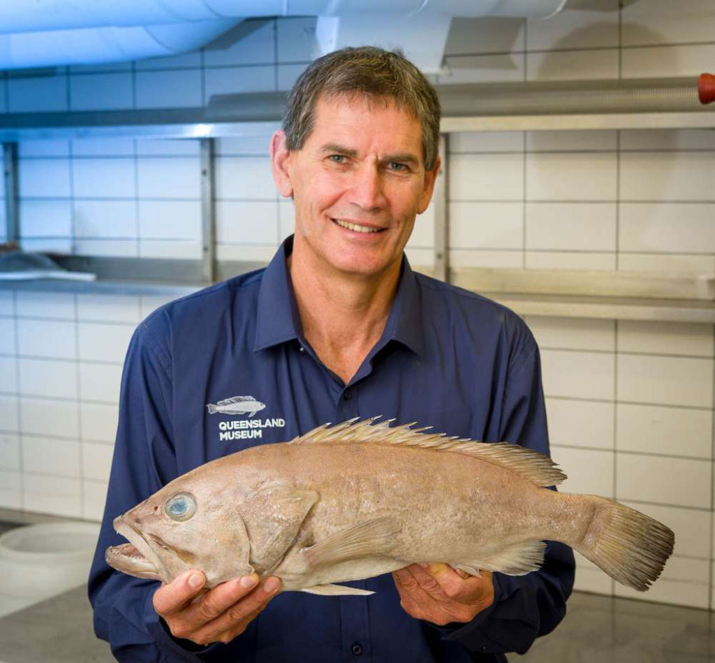 Os australianos tm estado comendo durante anos um pescado desconhecido para a cincia