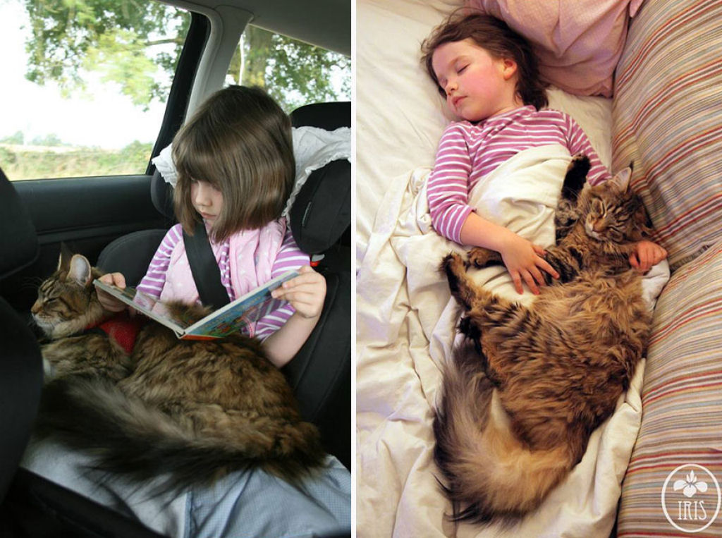 A comovente amizade de uma menina autista de 5 anos e seu gatinho  09