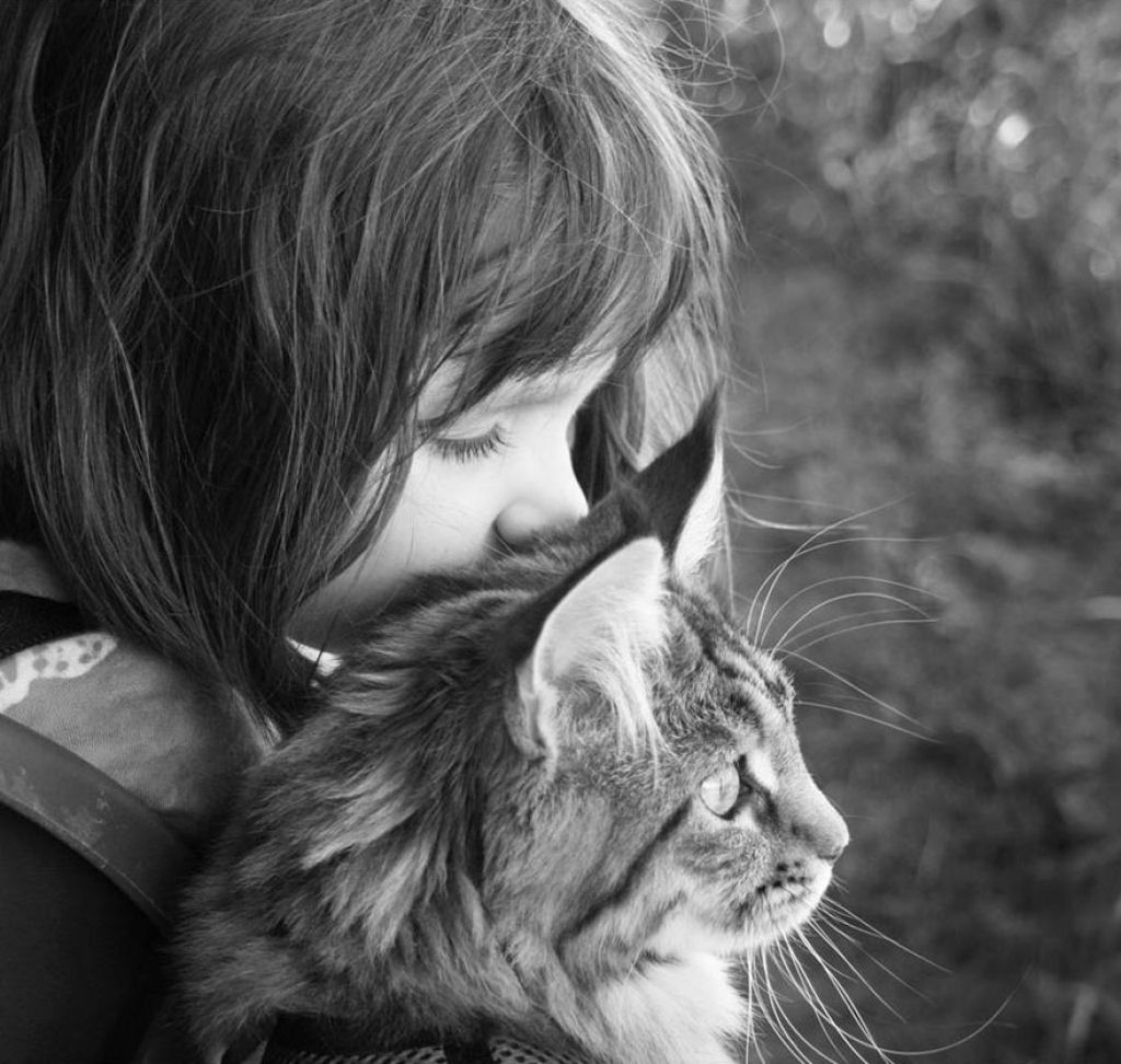 A comovente amizade de uma menina autista de 5 anos e seu gatinho  13