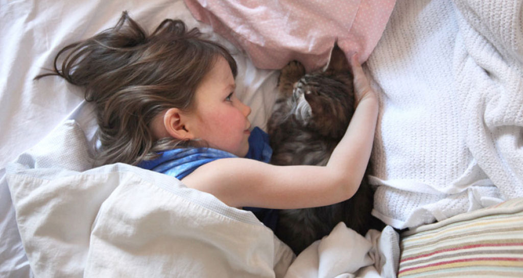 A comovente amizade de uma menina autista de 5 anos e seu gatinho  17