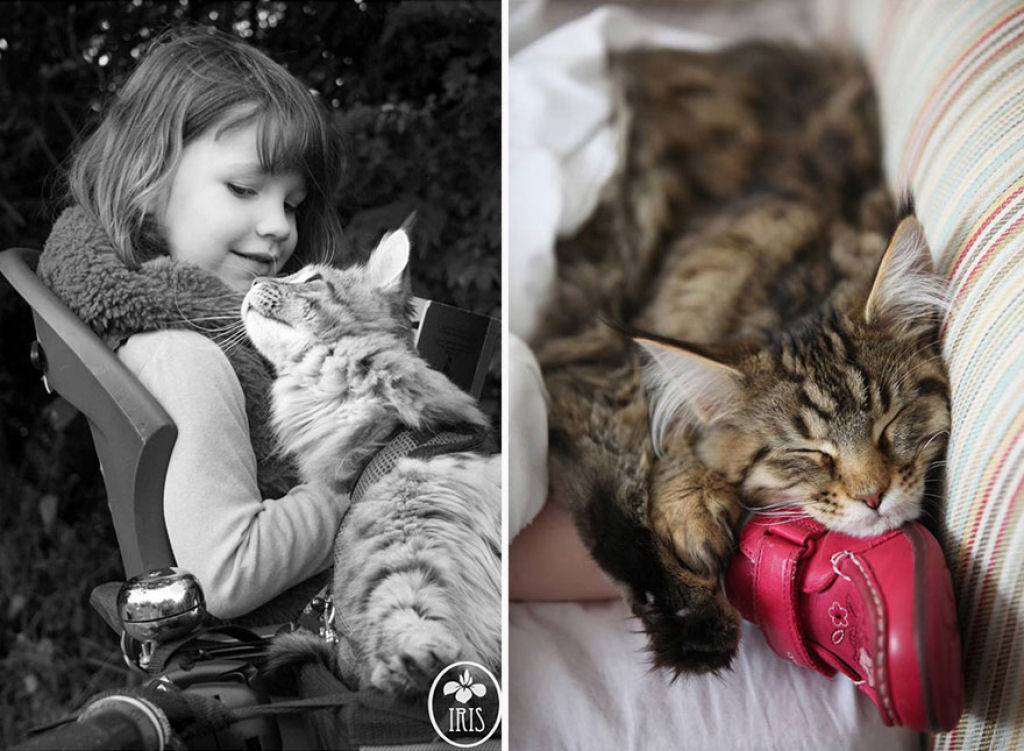 A comovente amizade de uma menina autista de 5 anos e seu gatinho  33