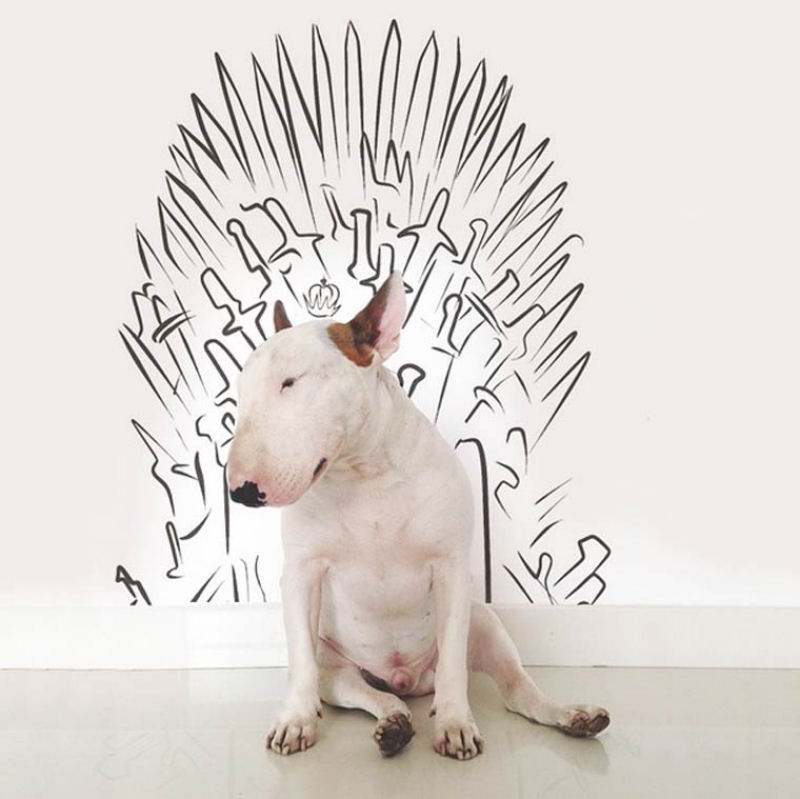 Adorável Bull Terrier estrela criativas ilustrações feitas por seu humano 06