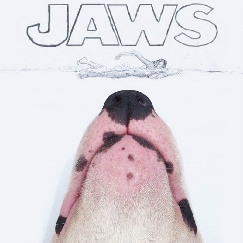 Adorável Bull Terrier estrela criativas ilustrações feitas por seu humano 10