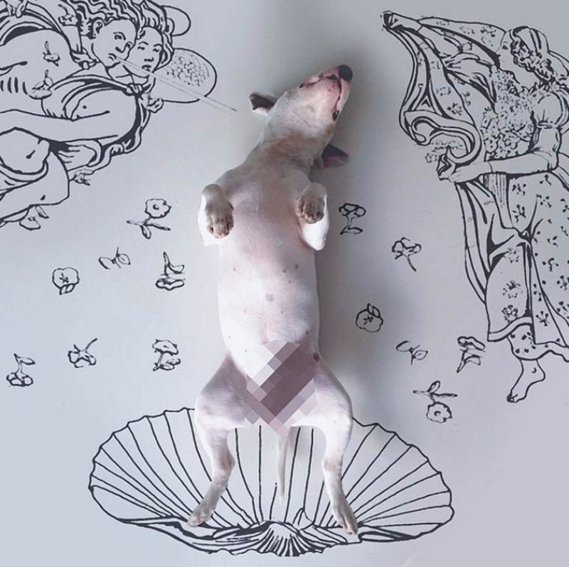 Adorável Bull Terrier estrela criativas ilustrações feitas por seu humano 11