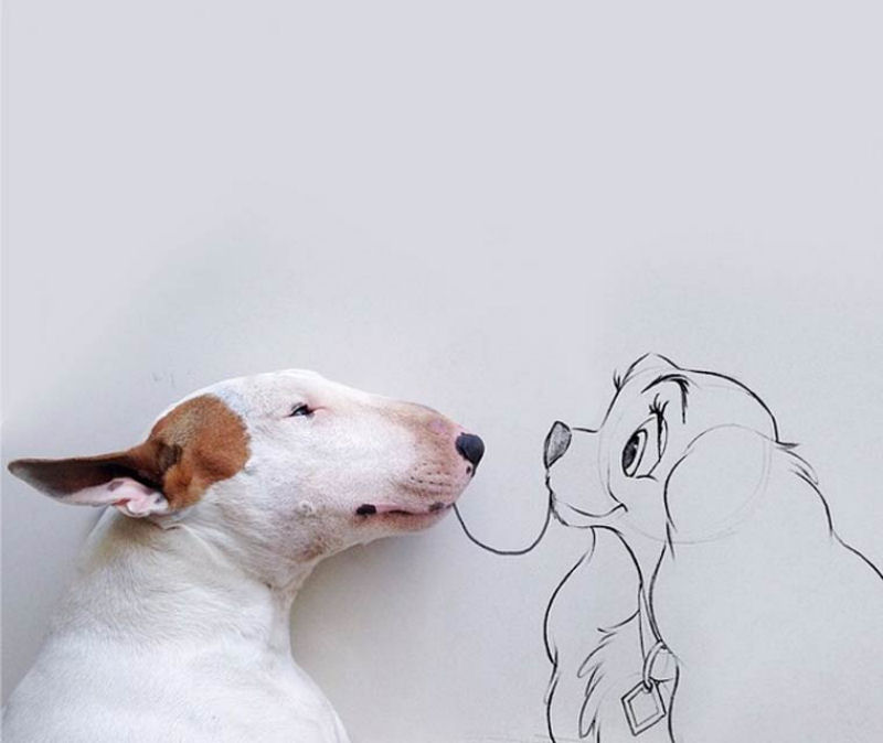 Adorável Bull Terrier estrela criativas ilustrações feitas por seu humano 13
