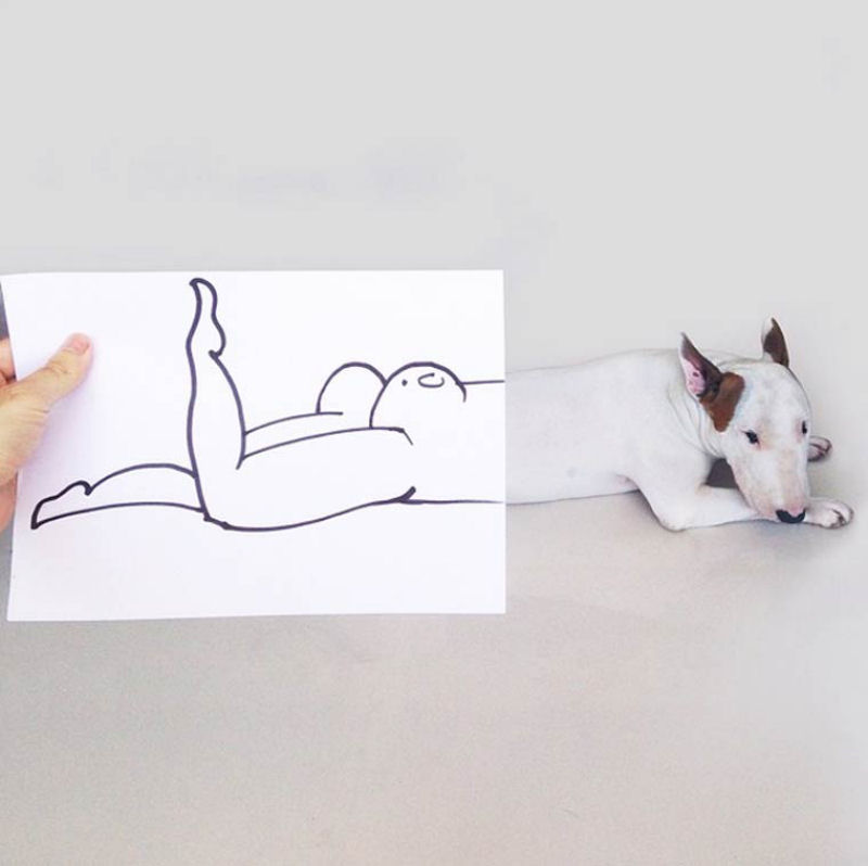 Adorável Bull Terrier estrela criativas ilustrações feitas por seu humano 15